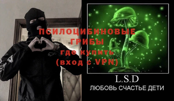 ешки Алексеевка