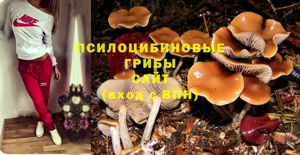 марки lsd Саяногорск