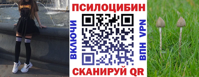 продажа наркотиков  Кореновск  Галлюциногенные грибы мухоморы 