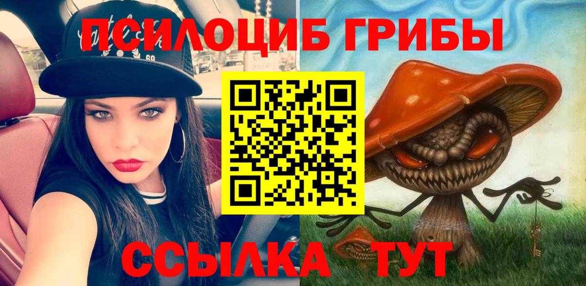 Псилоцибиновые грибы прущие грибы  Вход с VPN  Кореновск 